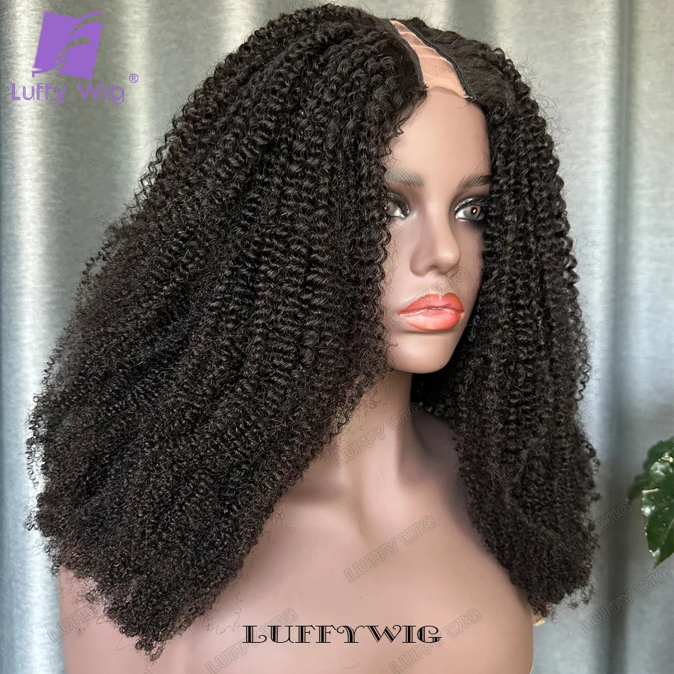 Afro Kinky Curly V Part Wig Human Hair Wigs Glueless V Part Wig Brazilian for Women No Leave Out Blend with Your Own Hairline