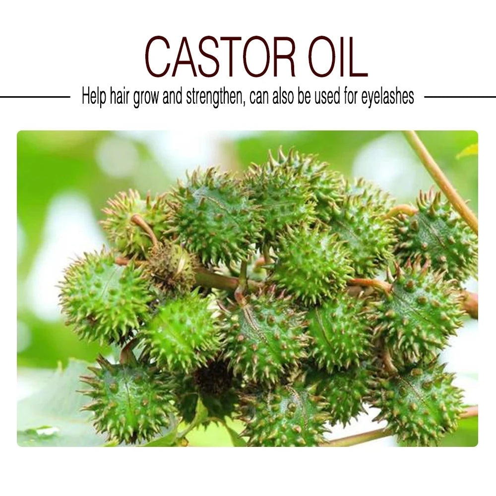 100% Pure And Castor Oil For  Eyelashes  hair bodyAromatherapy And Massage