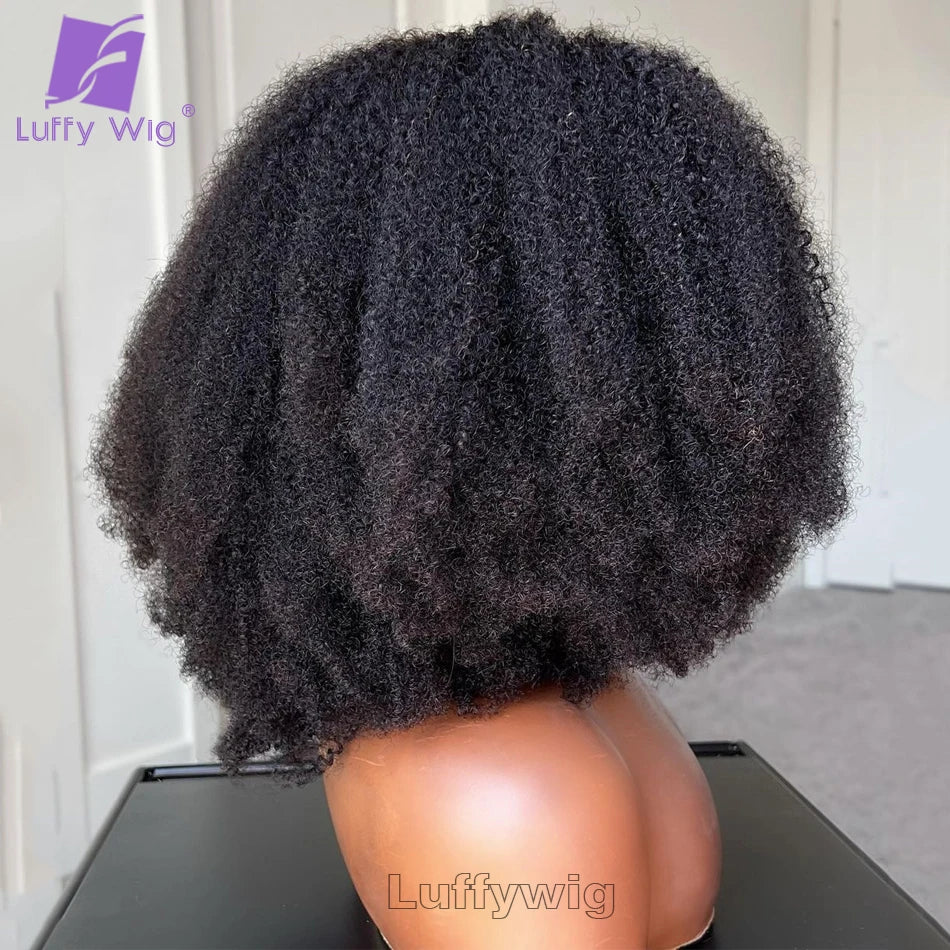 Afro Kinky Curly V Part Wig Human Hair Wigs Glueless V Part Wig Brazilian for Women No Leave Out Blend with Your Own Hairline
