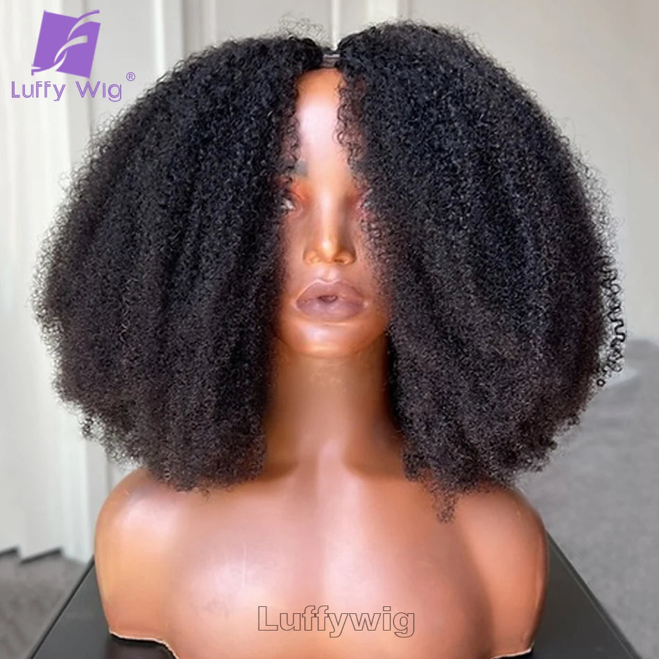 Afro Kinky Curly V Part Wig Human Hair Wigs Glueless V Part Wig Brazilian for Women No Leave Out Blend with Your Own Hairline